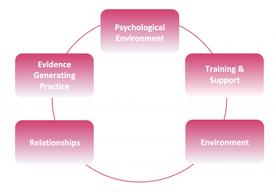 Trauma Informed Care Diagram