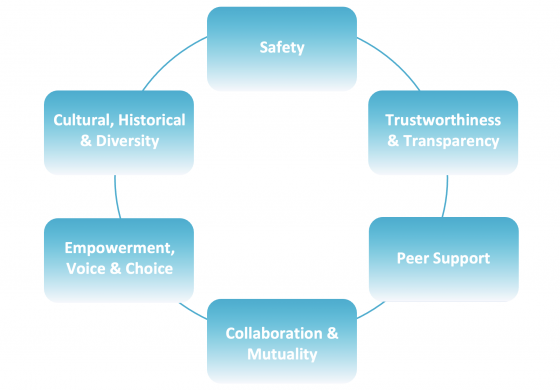 Trauma Informed Care Diagram